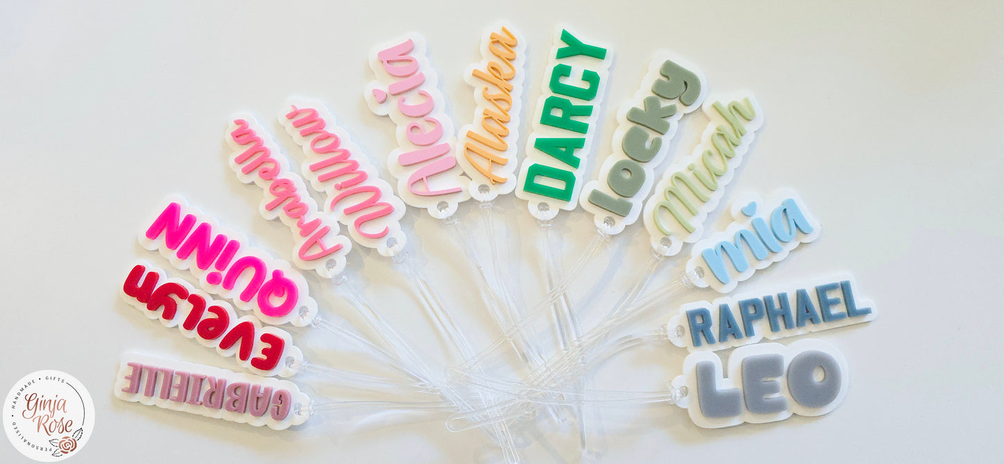 School | Bagtag Coloured Name