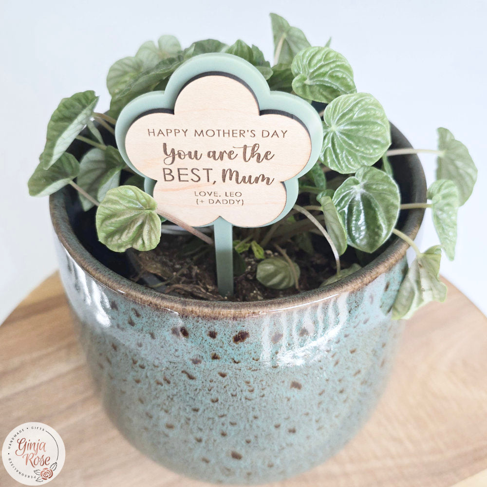 Mum's | Assorted Small Acrylic Stakes (for plant pots, gift baskets etc)