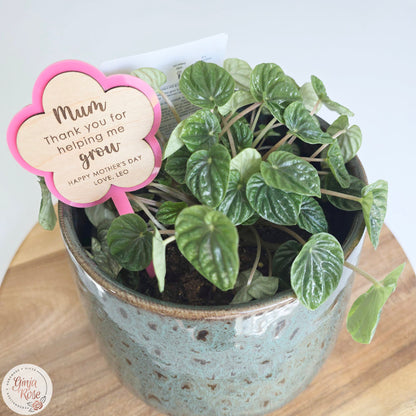 Mum's | Assorted Small Acrylic Stakes (for plant pots, gift baskets etc)