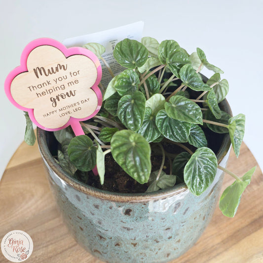 Mother's Day | Assorted Small Acrylic Stakes (for plant pots, gift baskets etc)